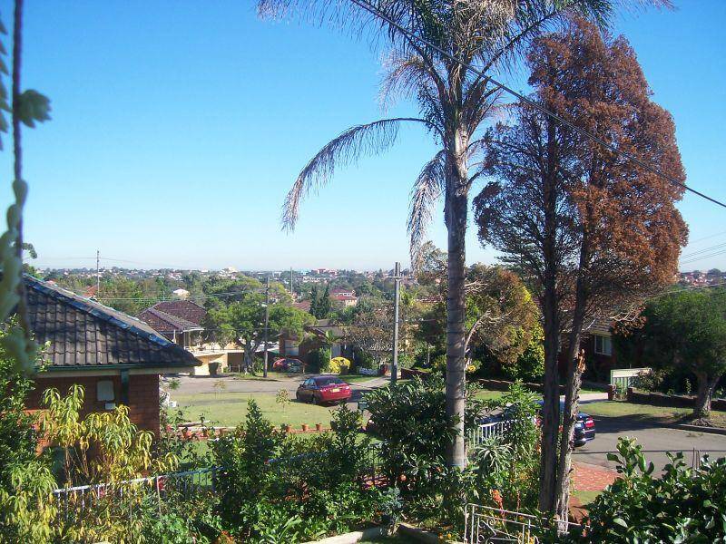 14 Waygrove Avenue, Earlwood NSW 2206