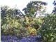 Lot 65 Sandlewood Cove, Callala Beach NSW 2540