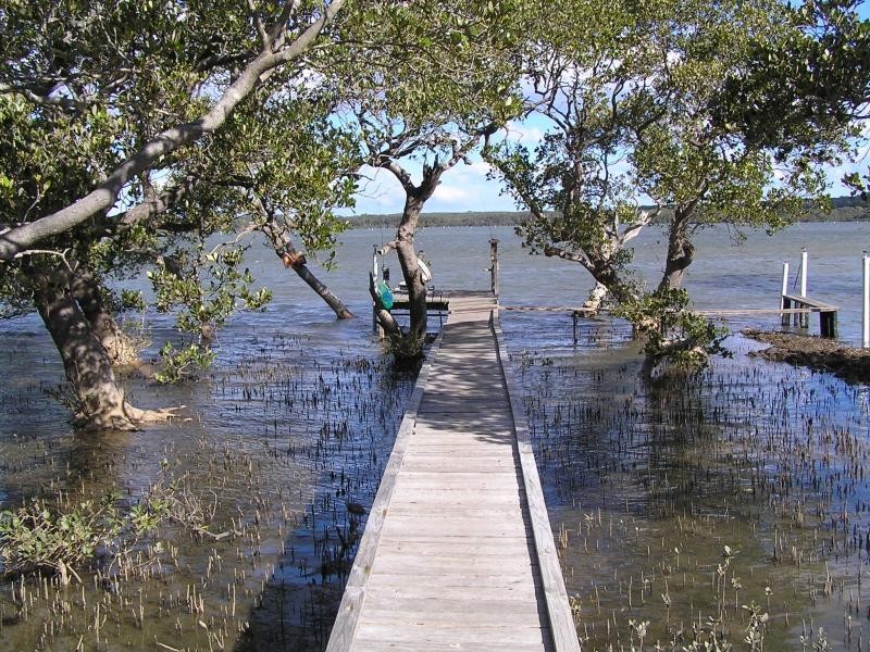 18 Orient Point Road, Culburra Beach NSW 2540