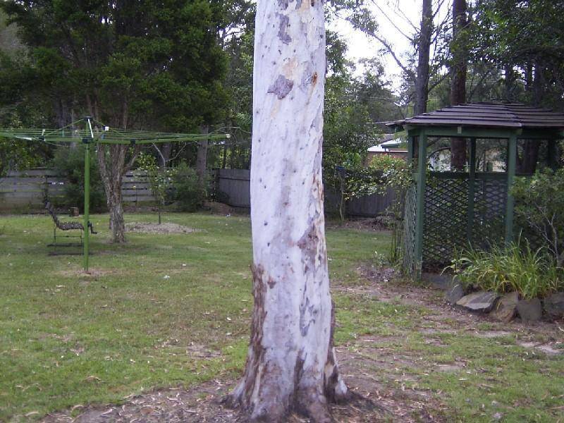 23 Morton Street, Callala Bay NSW 2540