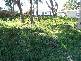 22 Callala Beach Road, Callala Beach NSW 2540