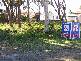22 Callala Beach Road, Callala Beach NSW 2540