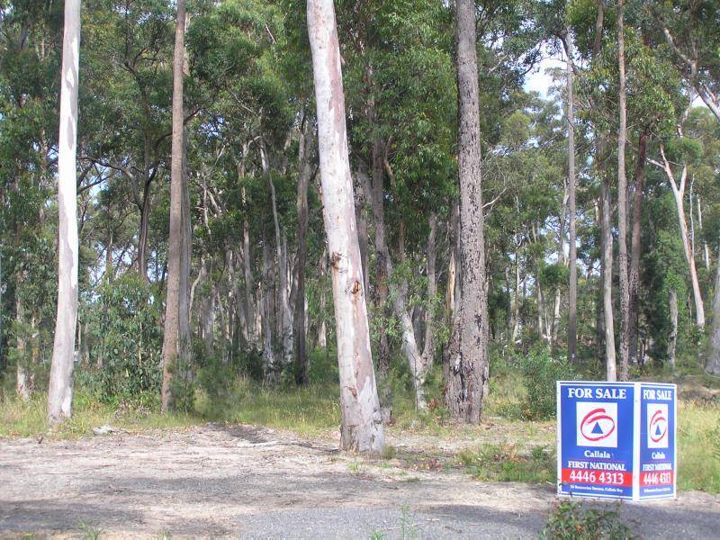 14 Cook Street, Callala Bay NSW 2540