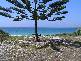 67 Quay Road, Callala Beach NSW 2540