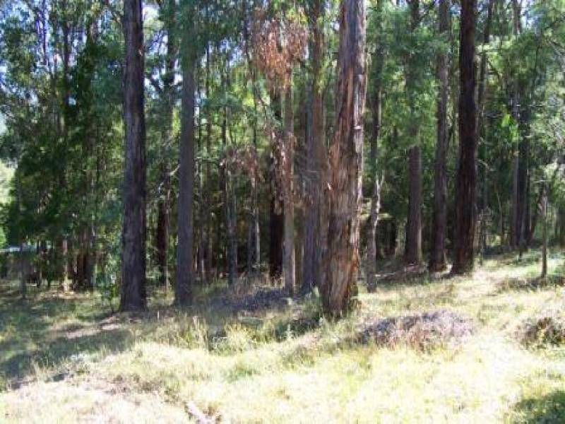 7 Leith Road, Mcmahons Creek VIC 3799