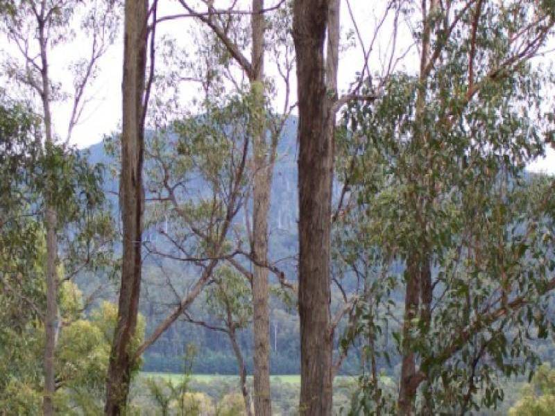 19 Yarra Valley Crescent, East Warburton VIC 3799