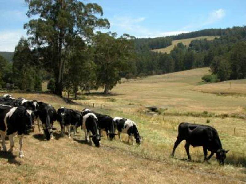 1415 Little Yarra Road, Gilderoy VIC 3797