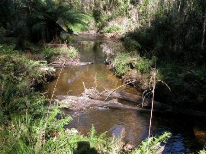 15 Fishermans Drive, Reefton VIC 3799