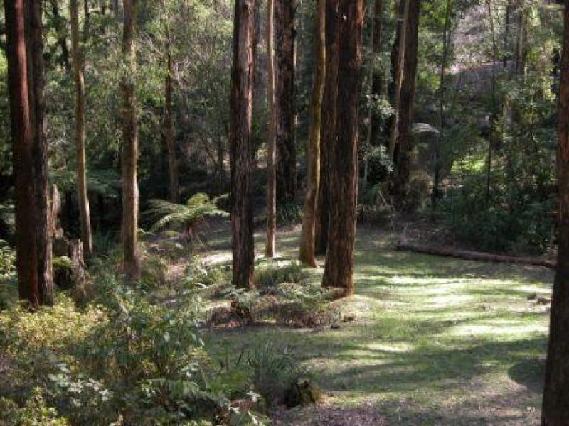 15 Fishermans Drive, Reefton VIC 3799