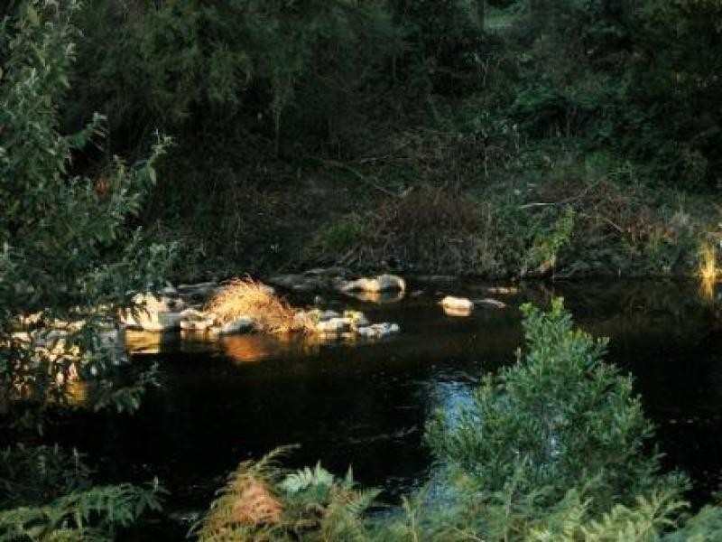 12 Tulloch Street, Millgrove VIC 3799