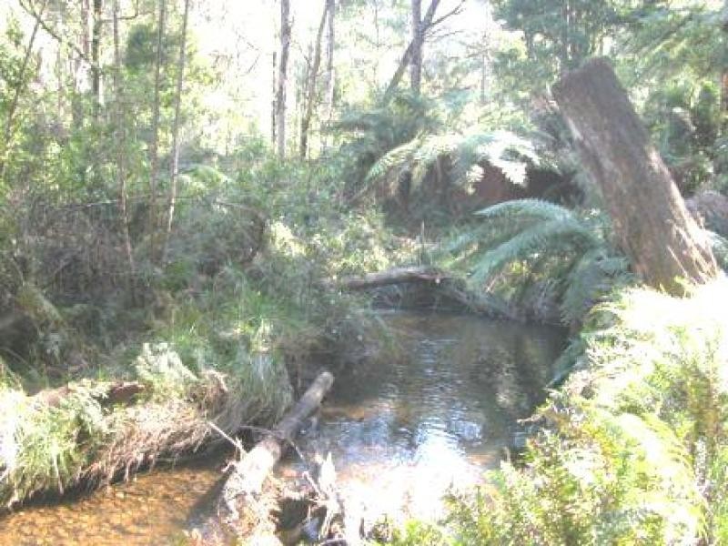 15 Fishermans Drive, Reefton VIC 3799