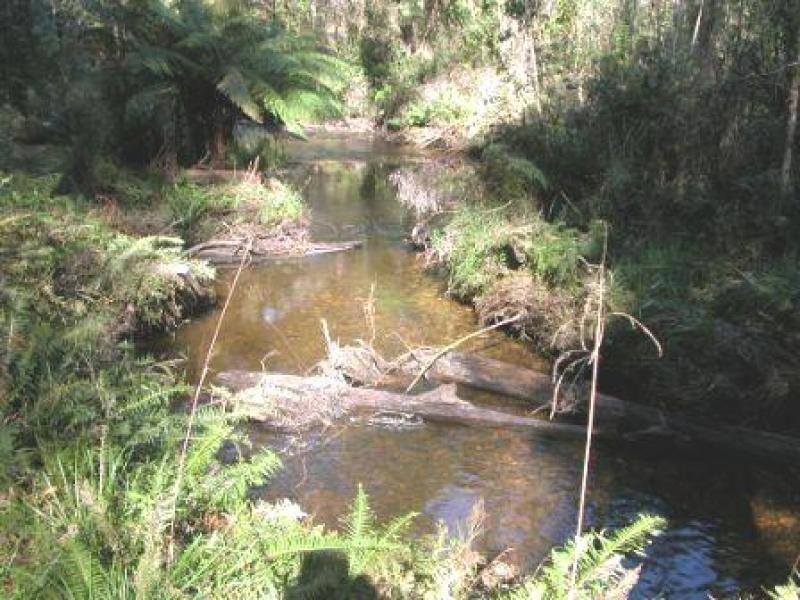 15 Fishermans Drive, Reefton VIC 3799