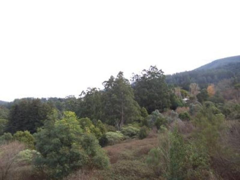 19 Upper Blackwood Avenue, Warburton VIC 3799