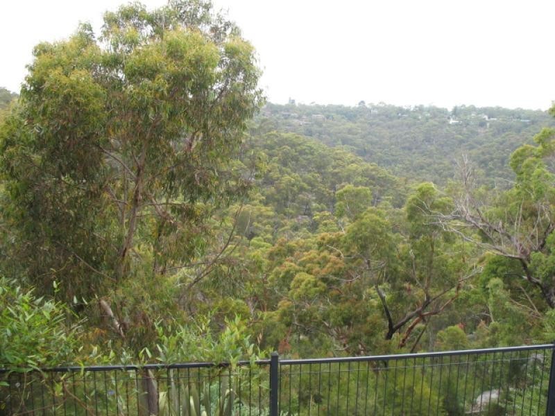 Berowra Heights NSW 2082