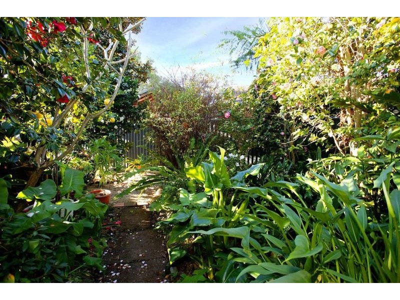 30 Swan Street, Gladesville NSW 2111