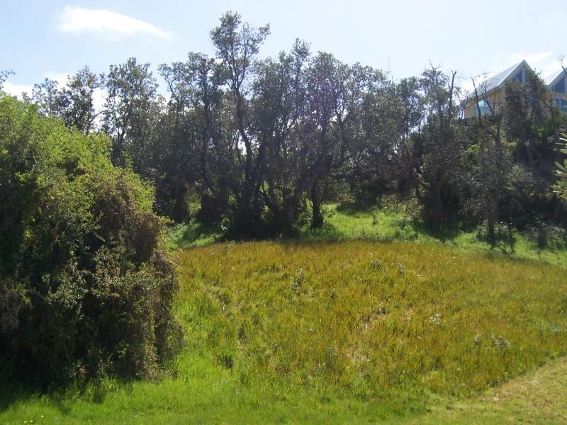 41 Alfred Crescent VENUS BAY 3956, Venus Bay VIC 3956