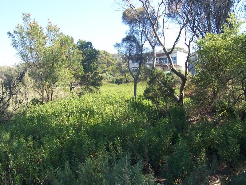 6 Bayside Drive WALKERVILLE SOUTH 3956, Walkerville South VIC 3956