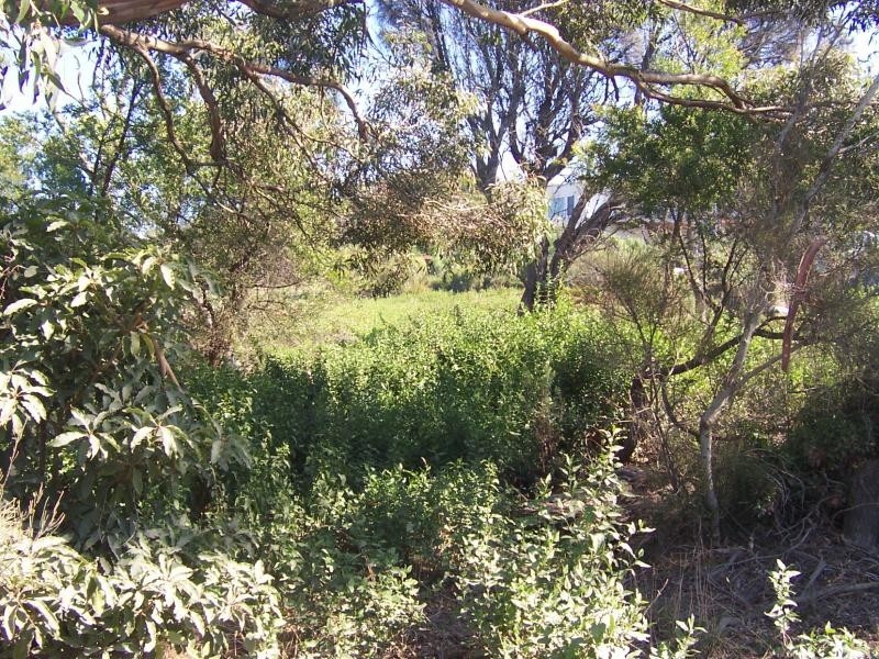 6 Bayside Drive WALKERVILLE SOUTH 3956, Walkerville South VIC 3956