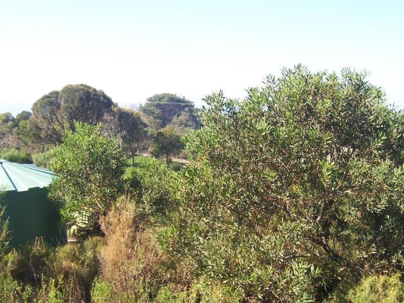 6 Bayside Drive WALKERVILLE SOUTH 3956, Walkerville South VIC 3956