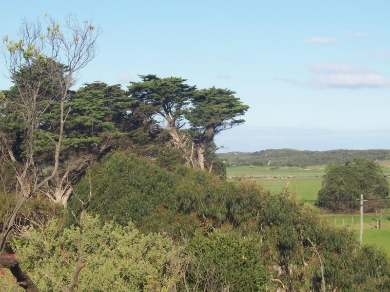 62 Mercury Drive VENUS BAY 3956, Venus Bay VIC 3956