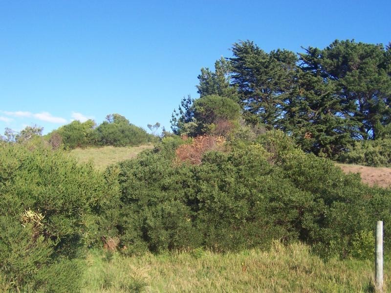 62 Mercury Drive VENUS BAY 3956, Venus Bay VIC 3956