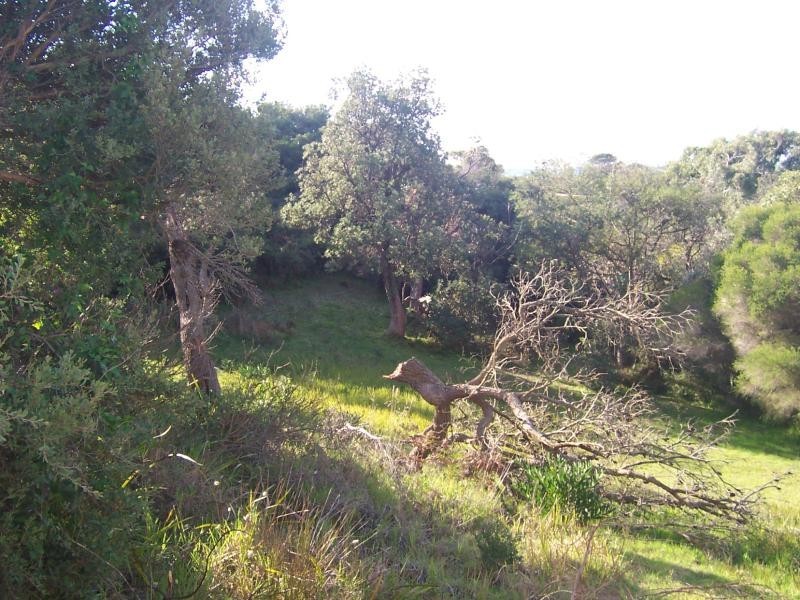 5 Sydney Court VENUS BAY 3956, Venus Bay VIC 3956