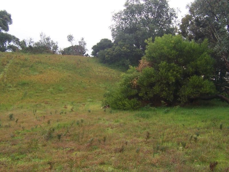 43 Pandora Avenue VENUS BAY 3956, Venus Bay VIC 3956