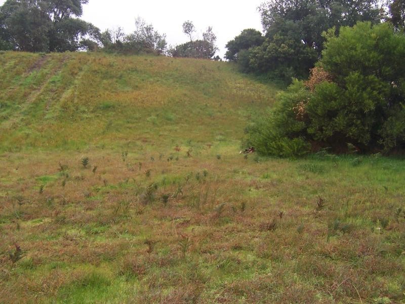 43 Pandora Avenue VENUS BAY 3956, Venus Bay VIC 3956