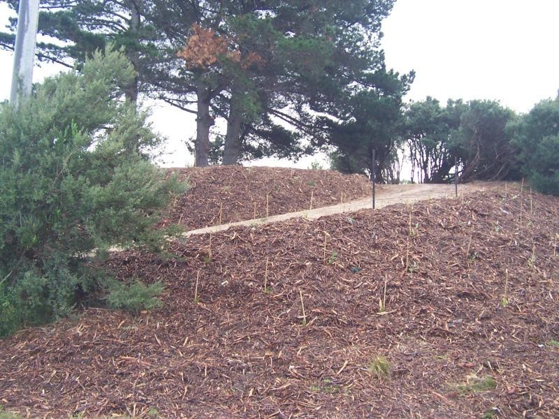 29 Louis Road VENUS BAY 3956, Venus Bay VIC 3956