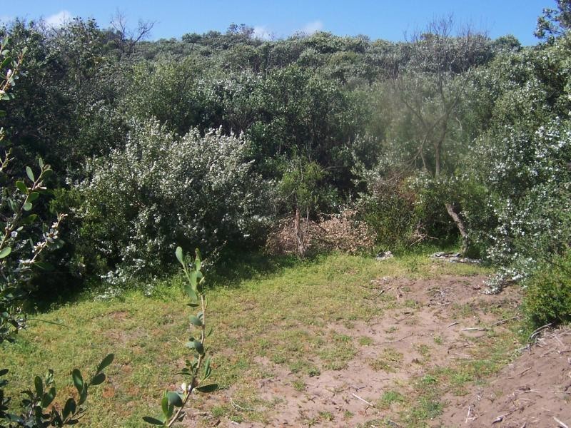 44 Atherton  Drive VENUS BAY 3956, Venus Bay VIC 3956