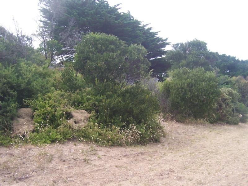 44 Saturn Parade VENUS BAY 3956, Venus Bay VIC 3956