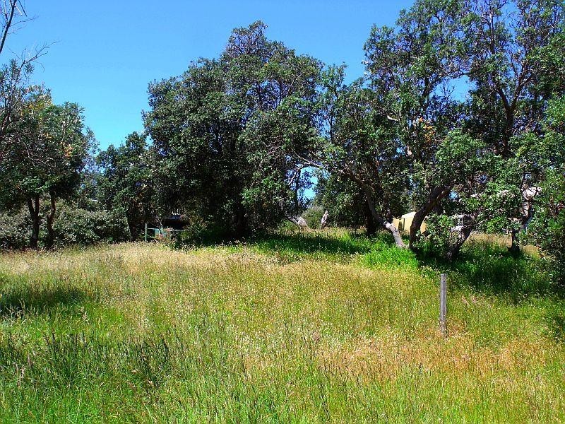 4 Webster Avenue VENUS BAY 3956, Venus Bay VIC 3956