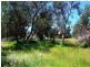 4 Webster Avenue VENUS BAY 3956, Venus Bay VIC 3956