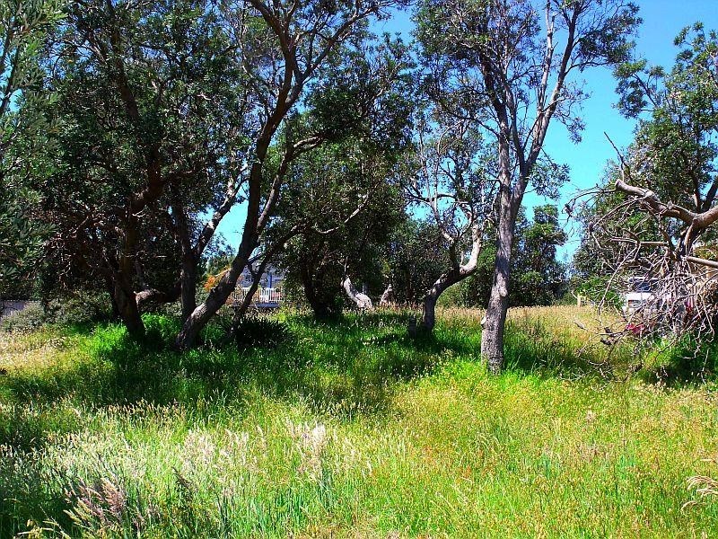 4 Webster Avenue VENUS BAY 3956, Venus Bay VIC 3956