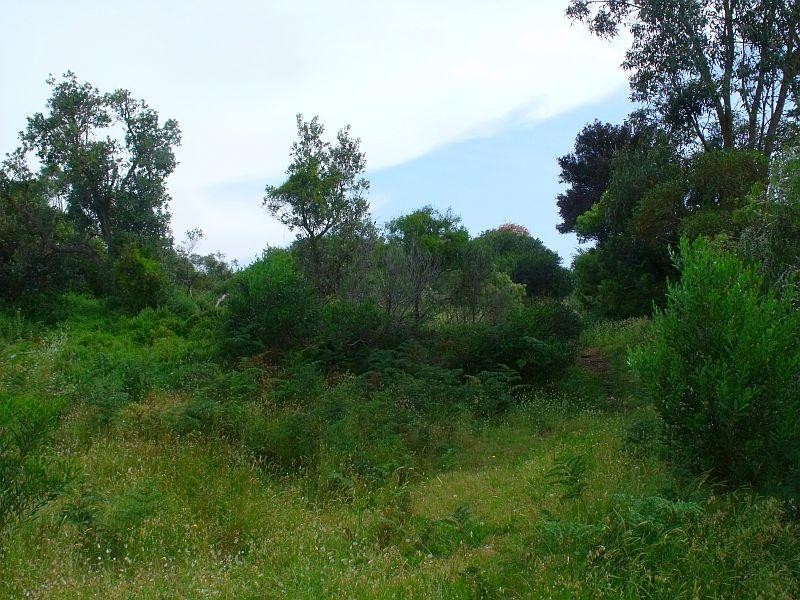 761 Lees Road VENUS BAY 3956, Venus Bay VIC 3956