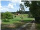 Newee Creek NSW 2447