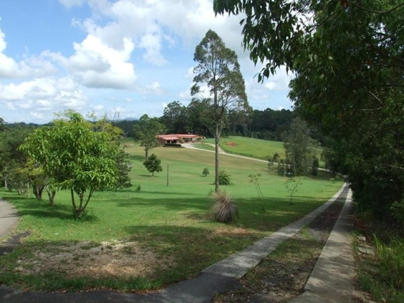Newee Creek NSW 2447