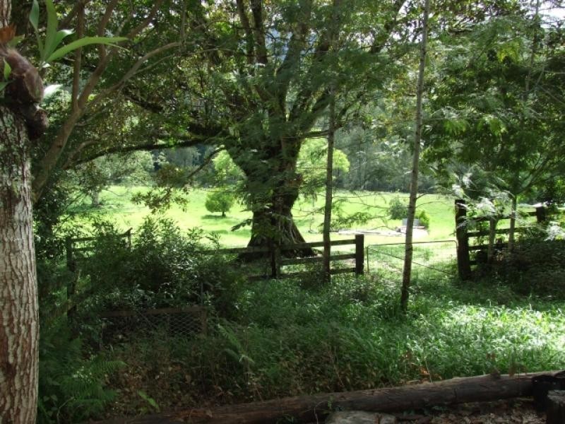 Taylors Arm NSW 2447