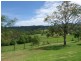 Tewinga NSW 2449