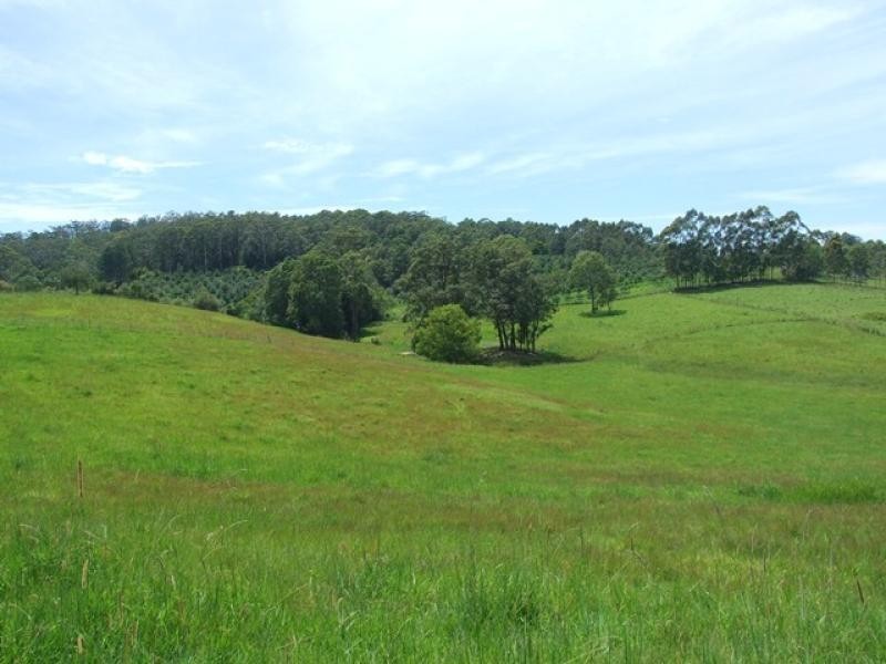 Tewinga NSW 2449