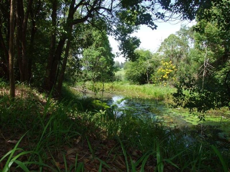 Tewinga NSW 2449