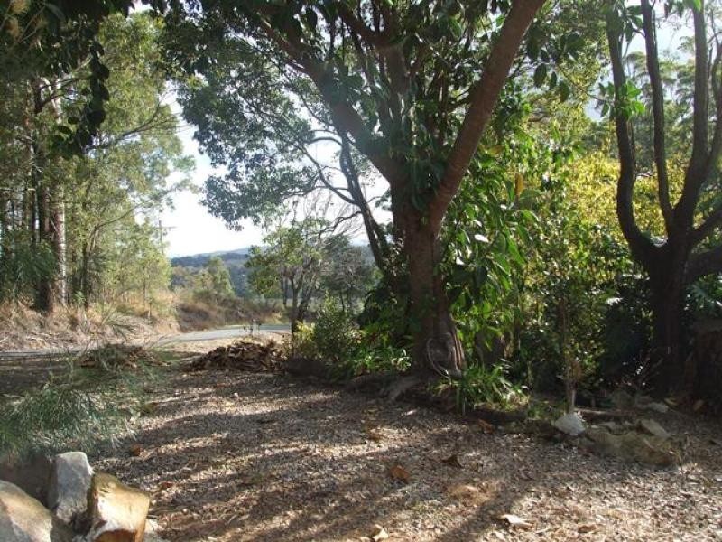 Newee Creek NSW 2447