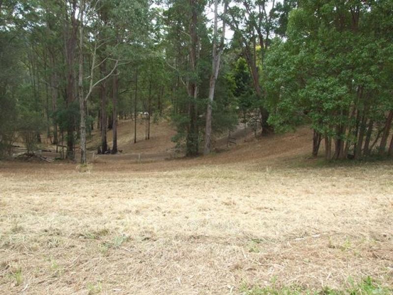 Newee Creek NSW 2447