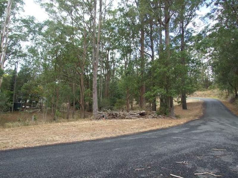 Newee Creek NSW 2447