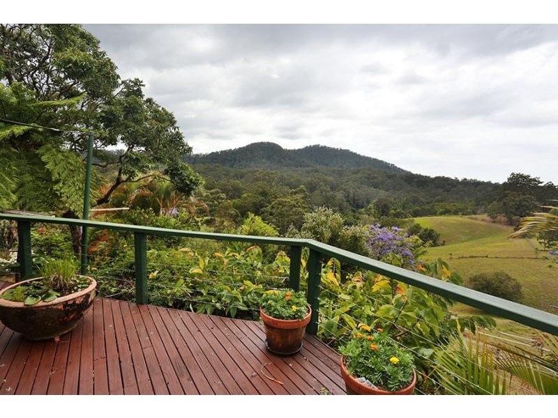 Newee Creek NSW 2447