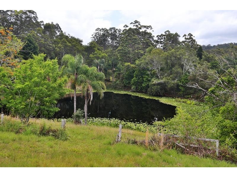 Newee Creek NSW 2447