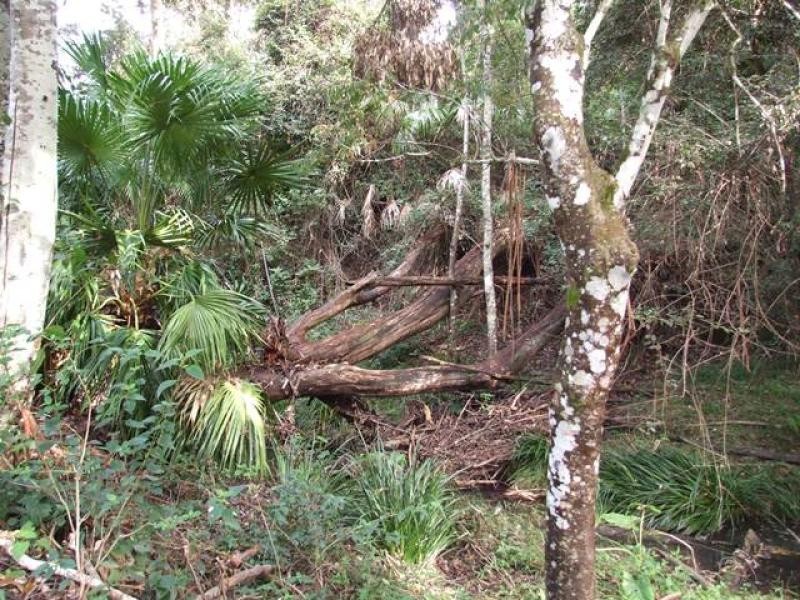 Newee Creek NSW 2447