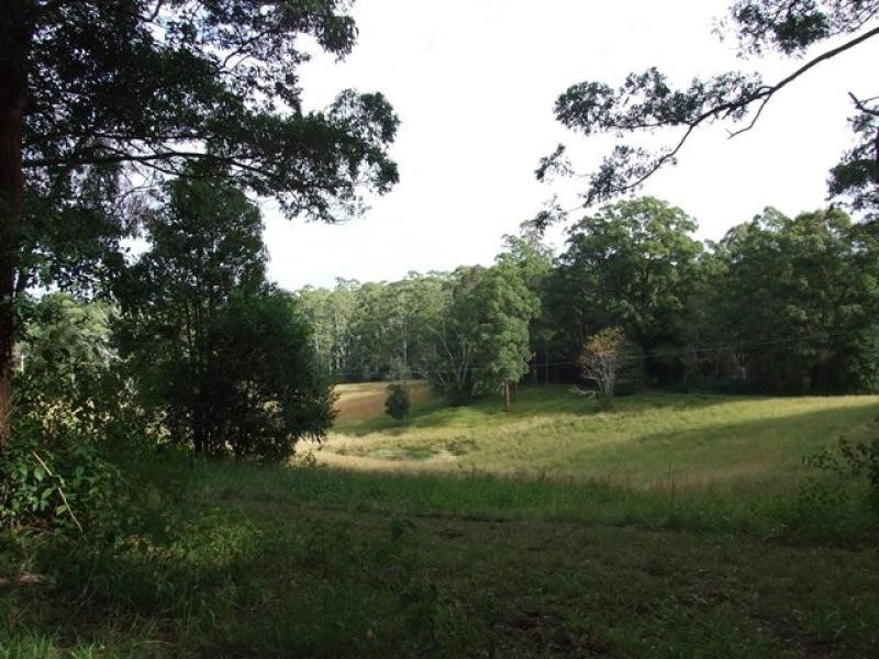 Newee Creek NSW 2447