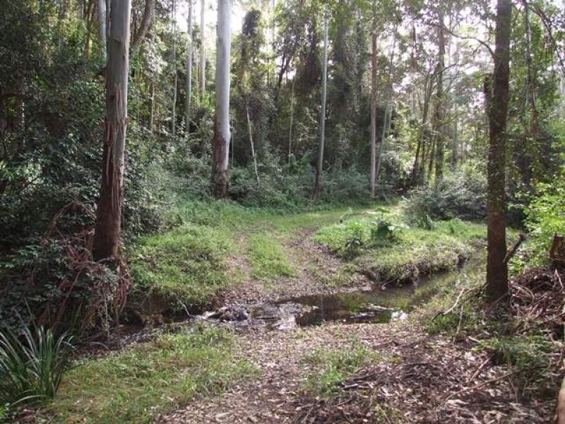 Newee Creek NSW 2447