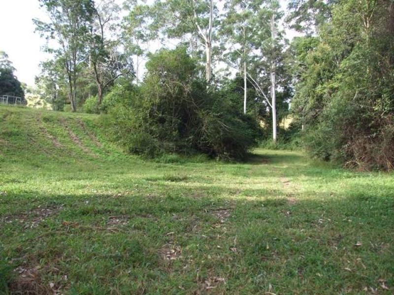 Newee Creek NSW 2447